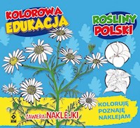 Kolorowa edukacja Rośliny Polski naklejka -  - książka