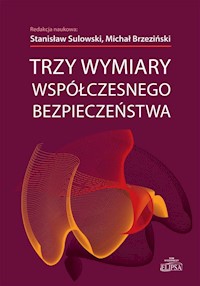 Trzy wymiary współczesnego bezpieczeństwa -  - książka
