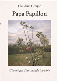 Papa Papillon - Claudine Goujon - ebook