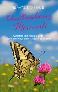 Schwalbenschwanz Momente - Renate Stremme - ebook