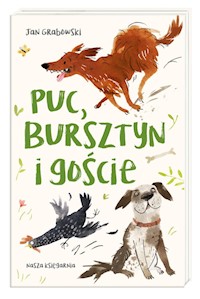 Puc, Bursztyn i goście - Jan Grabowski - ebook + audiobook + książka