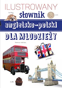 Ilustrowany słownik  angielsko-polski dla młodzieży - Neldner N - książka