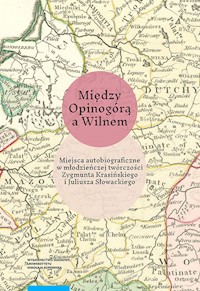 Między Opinogórą a Wilnem - Andruczyk Krzysztof - książka
