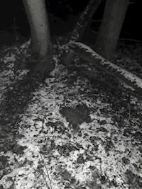 Der Plan - Bianca Hirtreiter - ebook