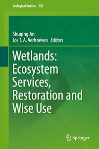 Wetlands: Ecosystem Services, Restoration and Wise Use -  - ebook