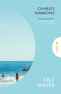 Salt Water - Charles Simmons - ebook