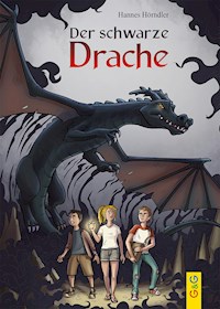 Der schwarze Drache - Hannes Hörndler - ebook