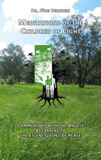 Meditations of the Children of Light - Jörg Berchem - ebook