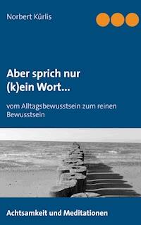 Aber sprich nur (k)ein Wort... - Norbert Kürlis - ebook