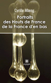 Portraits des Hauts de France de la France d’en bas - Cyrille Mbeng - ebook