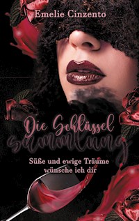 Die Schlüsselsammlung - Emelie Cinzento - ebook