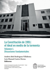 La Constitución de 1991: el ideal en medio de la tormenta - Andrés Abel Rodríguez Villabona - ebook