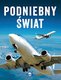 Podniebny świat - Lasociński Dawid - książka