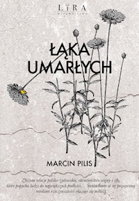 Łąka umarłych - Marcin Pilis - ebook + audiobook + książka