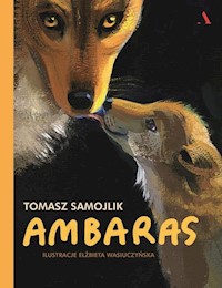 Ambaras - Tomasz Samojlik - książka