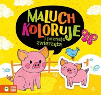 Maluch koloruje i poznaje zwierzęta - zbiorowa praca - książka