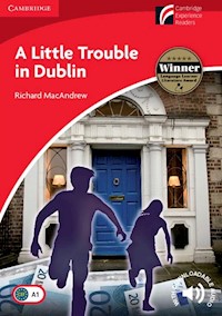 A Little Trouble in Dublin - MacAndrew Richard - książka