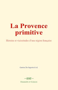 La Provence primitive - Gaston De Saporta & al. - ebook