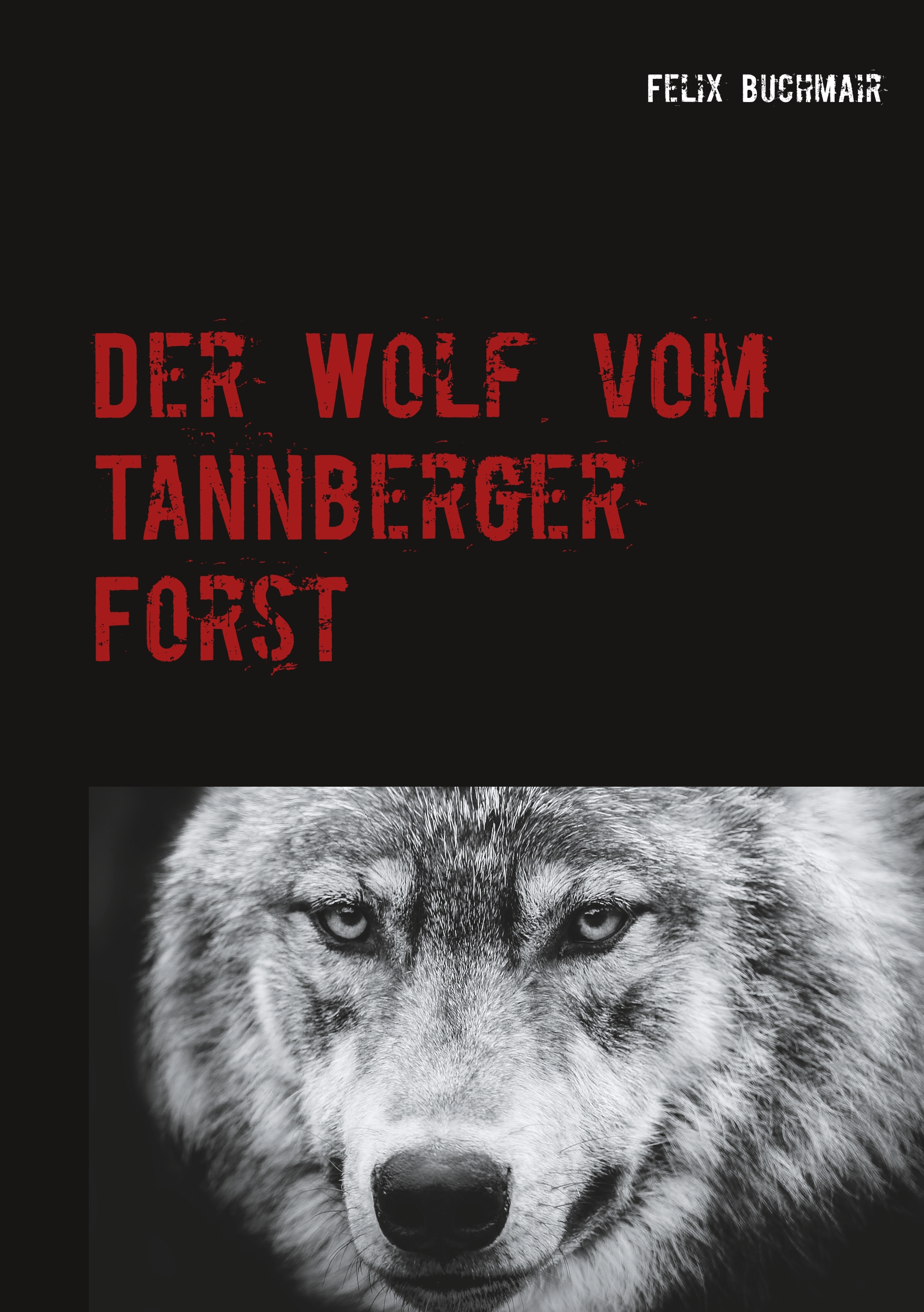 Der Wolf vom Tannberger Forst - Felix Buchmair - ebook