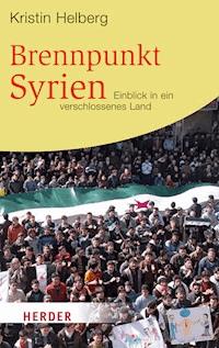 Brennpunkt Syrien - Kristin Helberg - ebook
