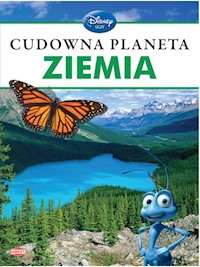 Cudowna planeta Ziemia - Feldman Thea - książka