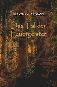 Das Tal der Feuergeister - Franziska Hartmann - ebook