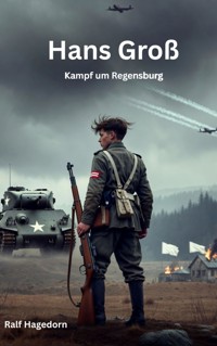 Hans Groß - Kampf um Regensburg - Ralf Hagedorn - ebook