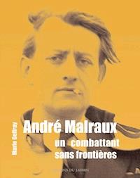André Malraux - Marie Geffray - ebook