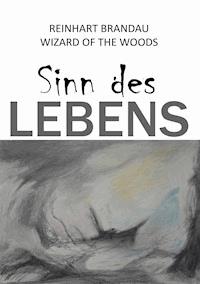 Sinn des Lebens - Reinhart Brandau - ebook