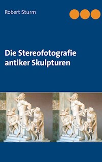 Die Stereofotografie antiker Skulpturen - Robert Sturm - ebook