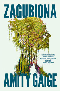 Zagubiona - Amity Gaige - ebook + audiobook + książka