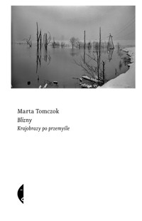 Blizny. Krajobrazy po przemyśle - Marta Tomczok - ebook + książka
