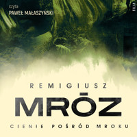 Cienie pośród mroku - Remigiusz Mróz - ebook + audiobook + książka