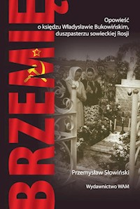 Brzemię - Przemysław Słowiński - ebook + książka