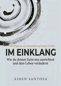 Im Einklang - Aiden Santosa - ebook