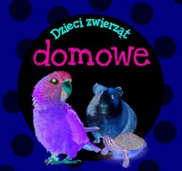 Dzieci zwierząt - domowe - zbiorowa praca - książka