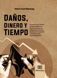 Daños, Dinero y Tiempo - Roberto Cuchí Olabuenaga - ebook