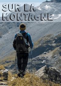 Sur la Montagne - David et Anne-Laure Prohin - ebook