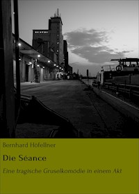 Die Séance - Bernhard Höfellner - ebook