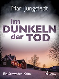 Im Dunkeln der Tod - Ein Schweden-Krimi - Mari Jungstedt - ebook