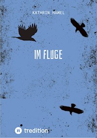 Im Fluge - Kathrin Hamel - ebook