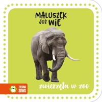 Maluszek już wie. Zwierzęta w zoo - zbiorowa praca - książka