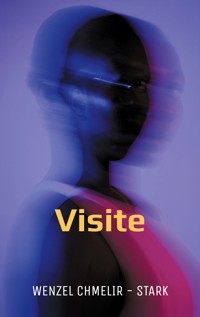 Visite - Wenzel Chmelir - Stark - ebook