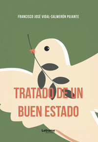 Tratado de un buen estado - Francisco José Vidal-Salmerón Pujante - ebook