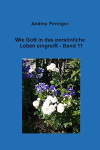 Wie Gott in das persönliche Leben eingreift - Band 11 - Andrea Pirringer - ebook