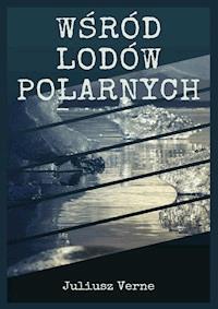 Wśród lodów polarnych - Juliusz Verne - ebook
