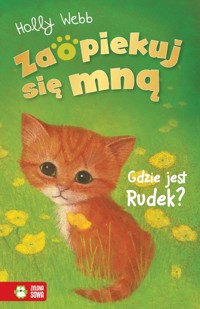 Zaopiekuj się mną. Zaopiekuj się mną. Gdzie jest Rudek? - Holly Webb - książka