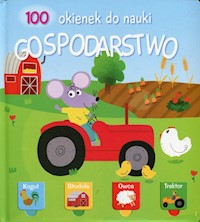 100 okienek do nauki Gospodarstwo -  - książka