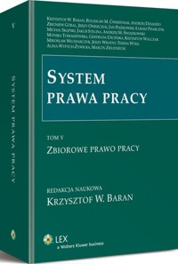 System prawa pracy -  - książka