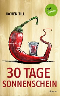 30 Tage Sonnenschein - Jochen Till - ebook